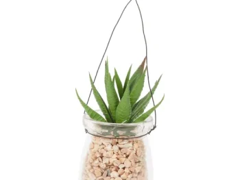 Sale Merk Absolu Chic Kunstvetplant In Hangpot Transparant,Groen