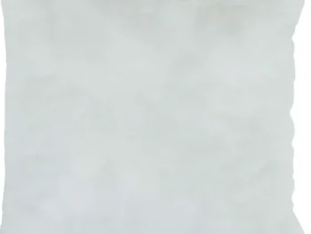 Online Code Maison Binnenkussen Wit