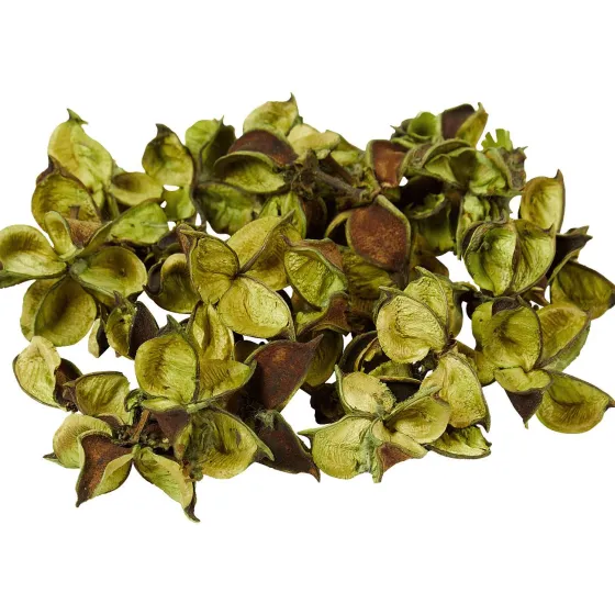 decoratieblaadjes-qsqHGbXD-4.webp Online Merk Decoratieblaadjes Beige,Geel,Groen,Roze,Wit