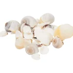 New Merk Decoschelpen