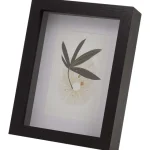 Discount Merk Fotolijst Met Passepartout Bruin,Zwart