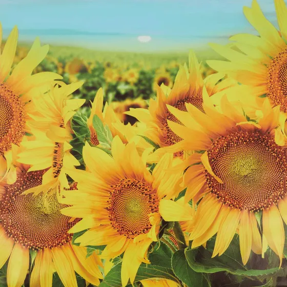 garden-collection-tuindoek-vCuVuiVx-2.webp Discount Merk Garden Collection Tuindoek Print