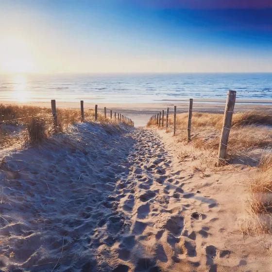 garden-collection-tuindoek-vCuVuiVx-4.webp Discount Merk Garden Collection Tuindoek Print