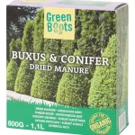 green-boots-buxus-en-conifere-ZaPCEIpw-0.webp