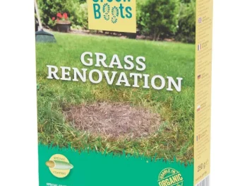 New Green Boots Graszaad Herstelgazon