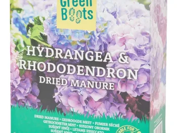 Hot Green Boots Hortensia- En Rododendronmest