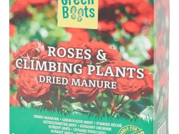 Discount Green Boots Rozen- En Klimplantenmest