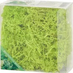 Online Merk Home Accents Decoratief Mos Groen