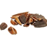 Discount Merk Home Accents Decoratiemateriaal