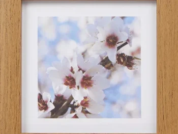 Hot Merk Home Accents Fotolijst Bruin