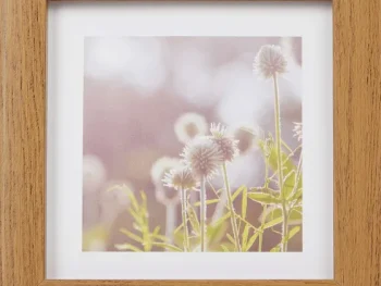 Hot Merk Home Accents Fotolijst Bruin