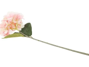 Outlet Merk Home Accents Kunsthortensia Roze,Wit