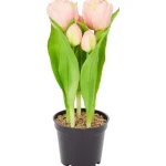 home-accents-kunsttulpen-in-po-kTgsfkxx-0.webp