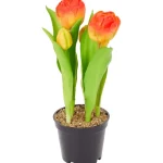 home-accents-kunsttulpen-in-po-kTgsfkxx-0.webp