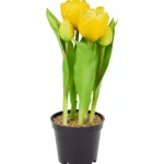 home-accents-kunsttulpen-in-po-kTgsfkxx-0.webp