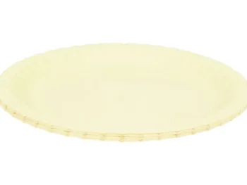 Outlet Merk Hosti Papieren Borden Blauw,Geel,Groen,Roze