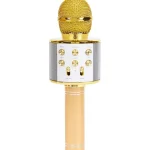 karaoke-microfoon-iPkZfees-0.webp