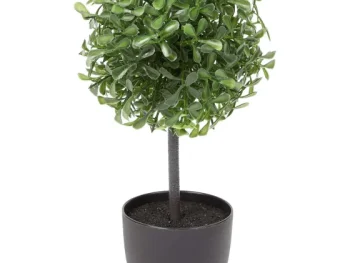 Clearance Merk Kunstbuxus Groen