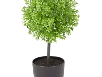 Clearance Merk Kunstbuxus Groen