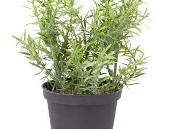 Sale Merk Kunstkruidenplant