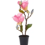 Hot Merk Kunstmagnolia In Pot Roze,Wit