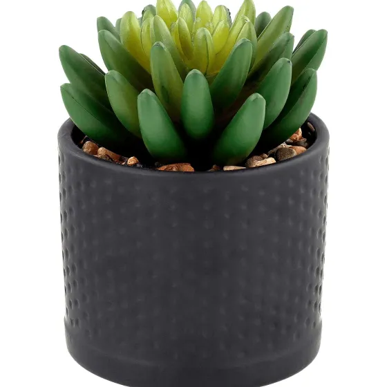 kunstvetplant-in-pot-mfARGfme-3.webp Outlet Merk Kunstvetplant In Pot Bruin,Groen,Print,Zwart