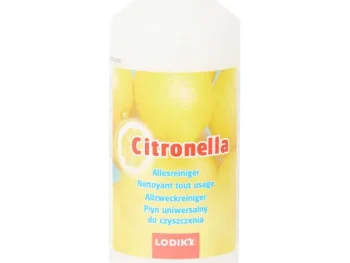Hot Lodik Allesreiniger Citronella