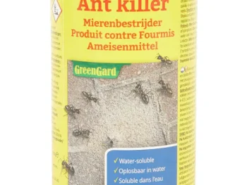 Hot Grundig Mierenpoeder