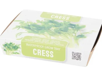 Outlet Green Boots Mini-Kweekset