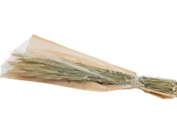 Clearance Merk Nederlandse Droog Kunstbloemen