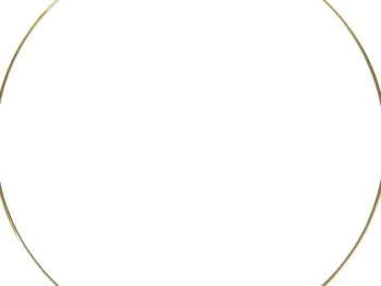 Clearance Merk Ronde Hangspiegel Zwart,Goud