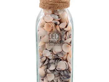 Discount Merk Schelpen In Glazen Fles Meerkleurig