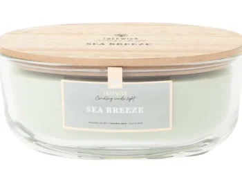 Hot Candra Treewick Geurkaars Groen,Roze,Wit