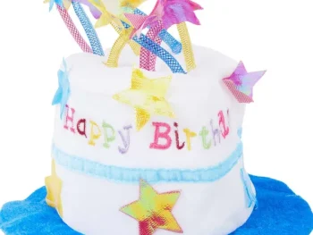 Outlet Merk Verjaardagshoed Met Muziek Meerkleurig