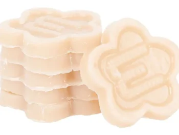 Fashion Merk Wax Moods Geurtabletten