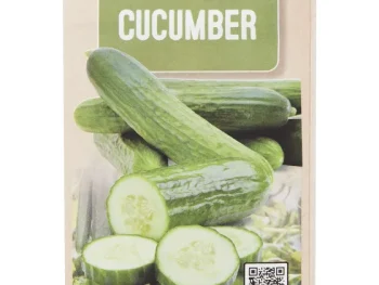 Outlet Green Boots Zaden Geen Kleur